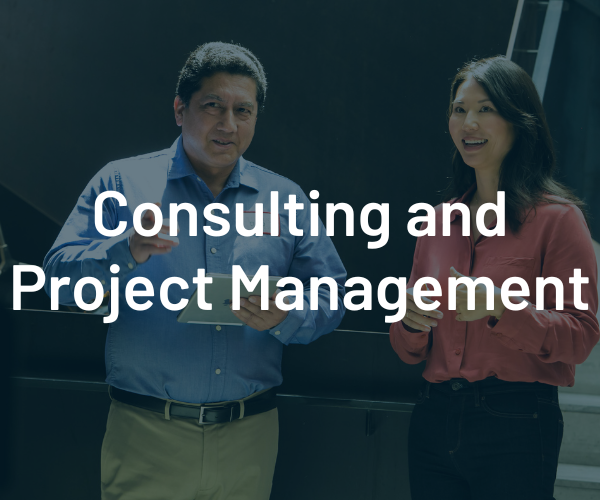 Consulting and Project Management